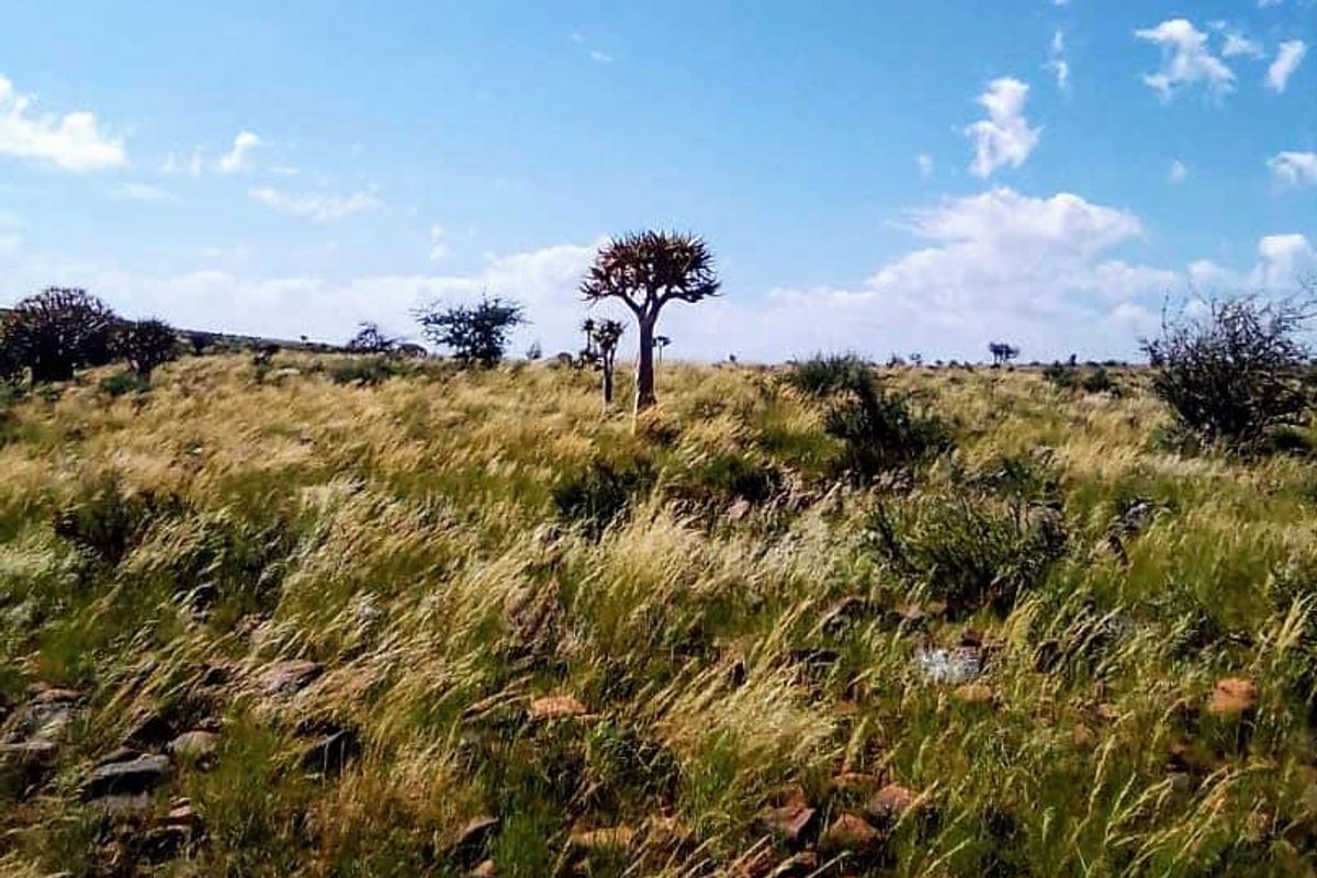 Exceptional farming opportunity just 75 km Southeast of Keetmanshoop! - Photo 2