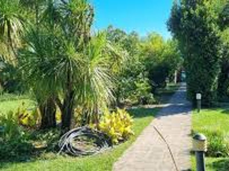 Forgotten Piece of Paradise! - Photo 6