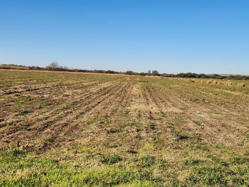 25 Hectares Irrigated Land for sale - Photo 6