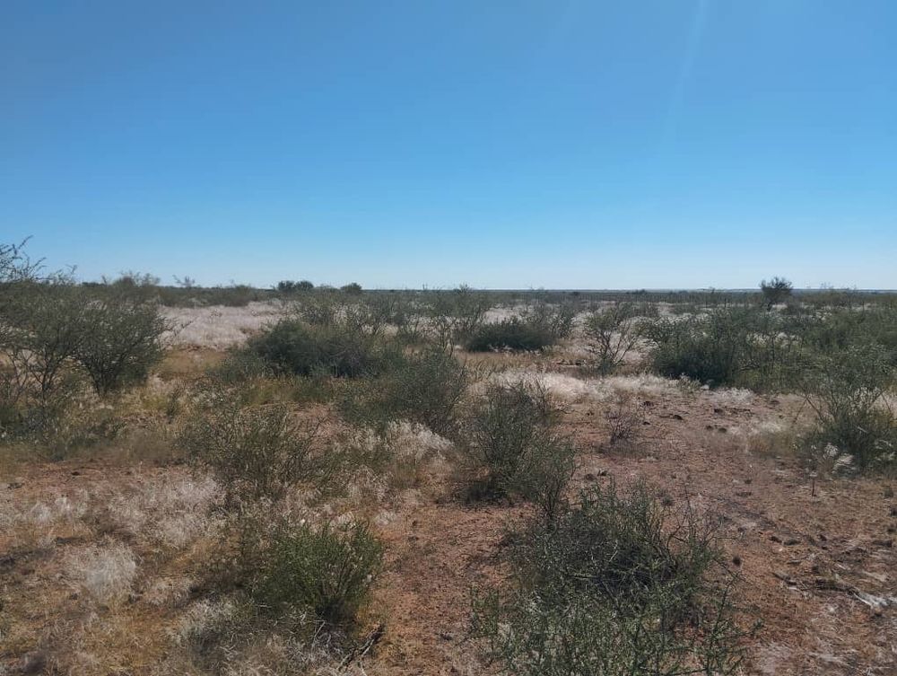 overview of farm land