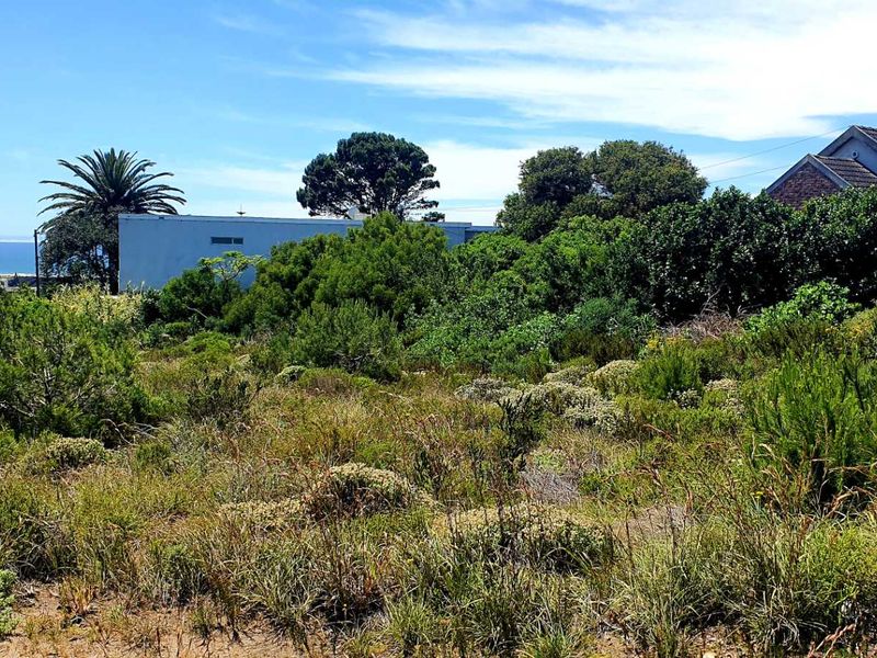A view of the vacant residential land featuring natural coastal vegetation with surrounding neighborhood properties and a distant ocean horizon.