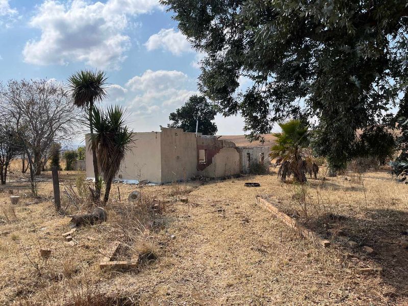 Huge Land with lots of potential - Photo 8