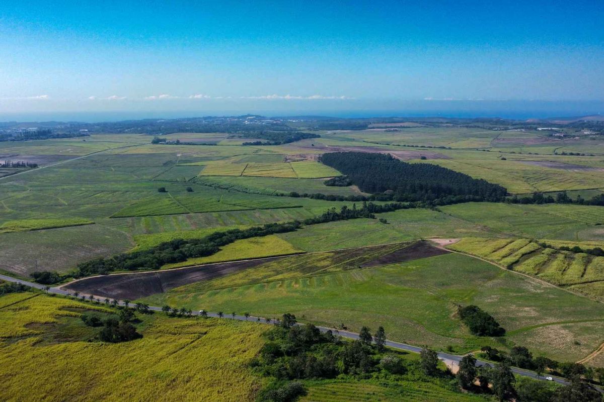 An expansive aerial view of the farm property, showcasing vast agricultural fields, surrounding woodland, and a paved access road.