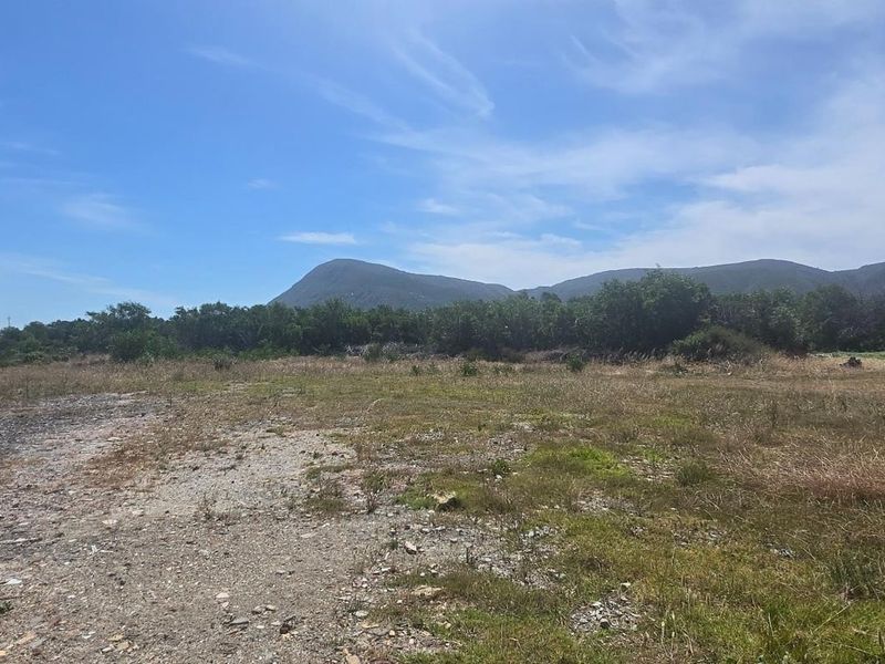 Coastal Lifestyle Farm & Development Opportunity – Erf 1235, Franskraal - Photo 5