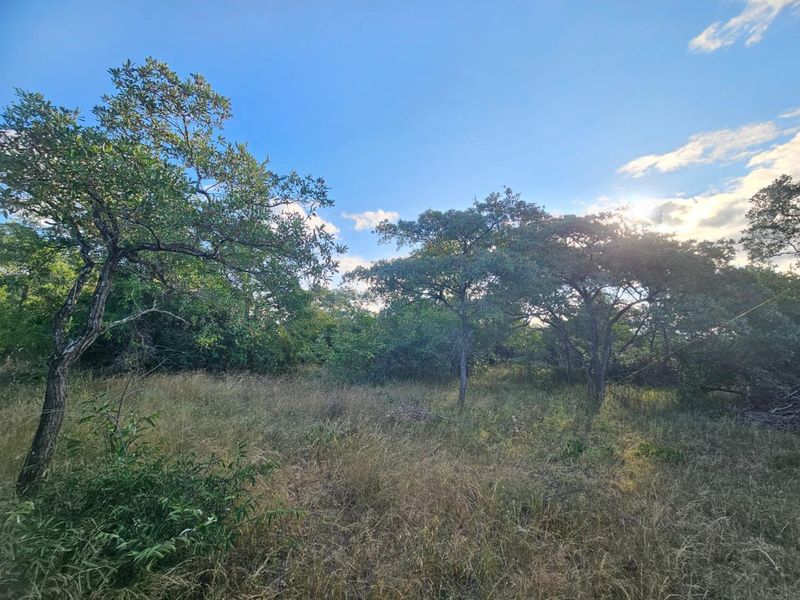 Vacant Land in MODITLO NATURE RESERVE - Photo 3