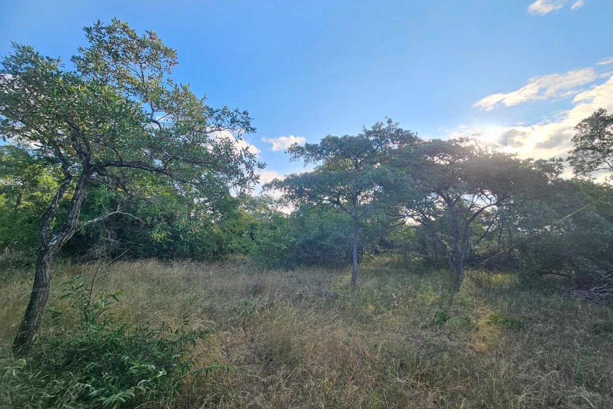 Vacant Land in MODITLO NATURE RESERVE - Photo 3