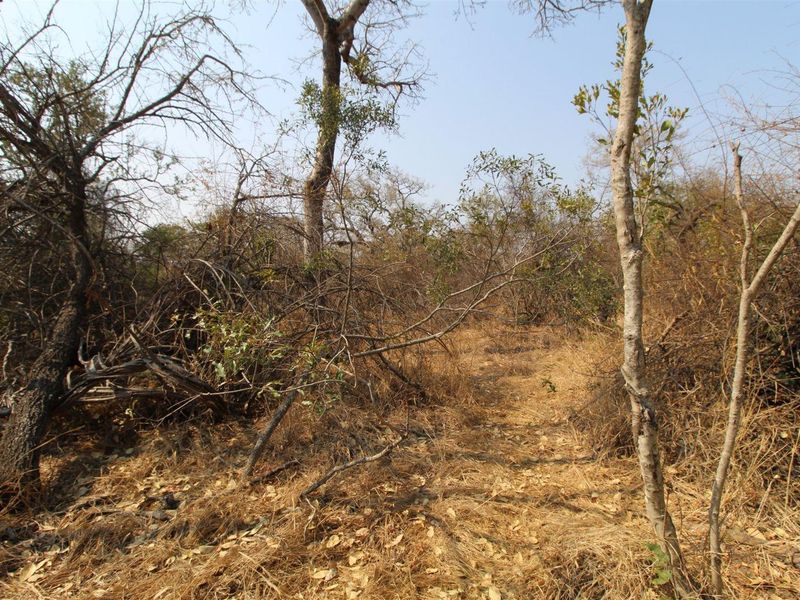 River front stand - Photo 8