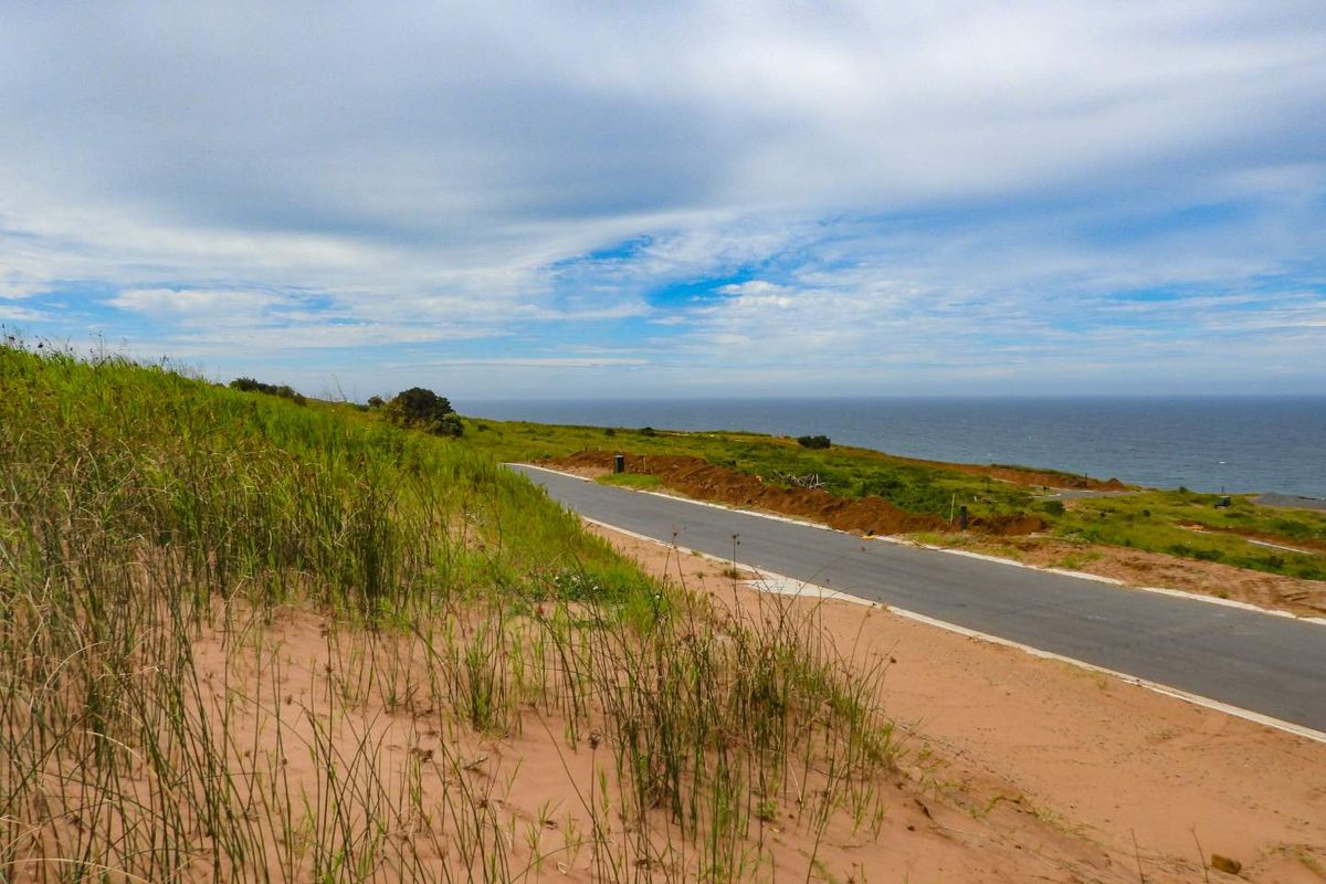 Seaton Magic with Seaviews - Photo 3