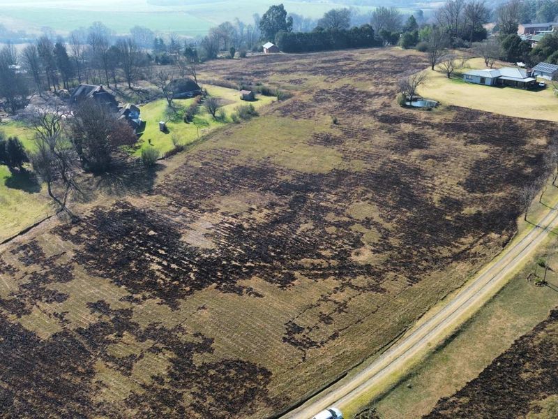 Aerial view of a large, vacant residential plot featuring open land, mature trees, and a gravel access road.