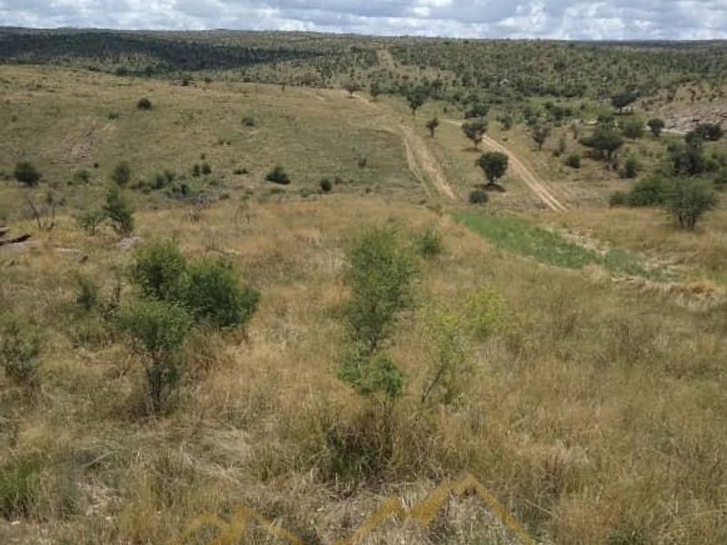 Expansive view of the natural landscape and open veld terrain on the small holding property.