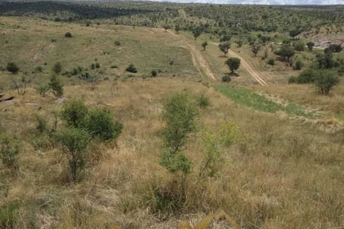 Expansive view of the natural landscape and open veld terrain on the small holding property.