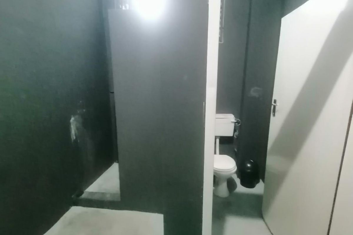 A small bathroom featuring a standard toilet and a compact shower area with dark painted walls.