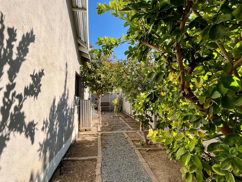 🌿 Rare Find in Okahandja Town - Photo 2