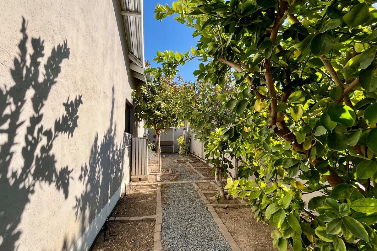 🌿 Rare Find in Okahandja Town - Photo 2