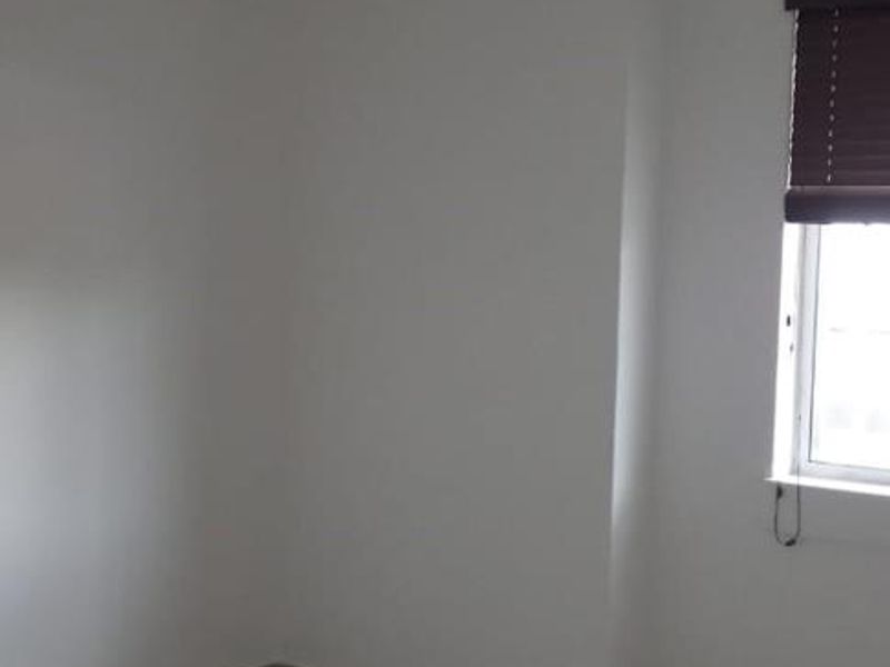 Office To let - Maerua Park - Photo 3