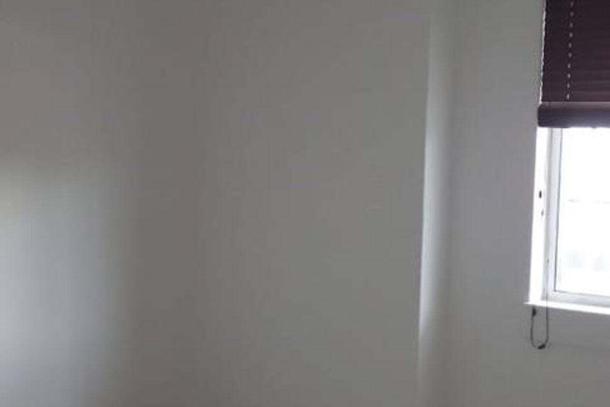 Office To let - Maerua Park - Photo 3