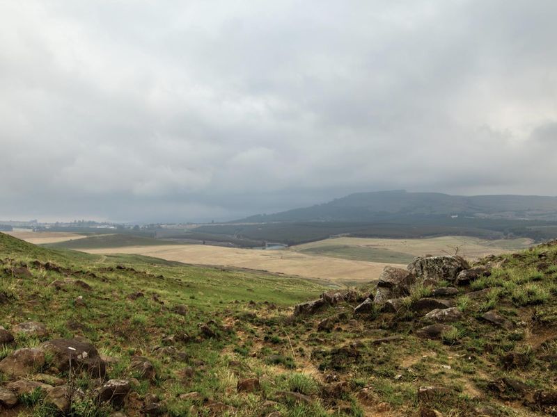 475Ha MULTI-USE FARM IN DONNYBROOK - Photo 6