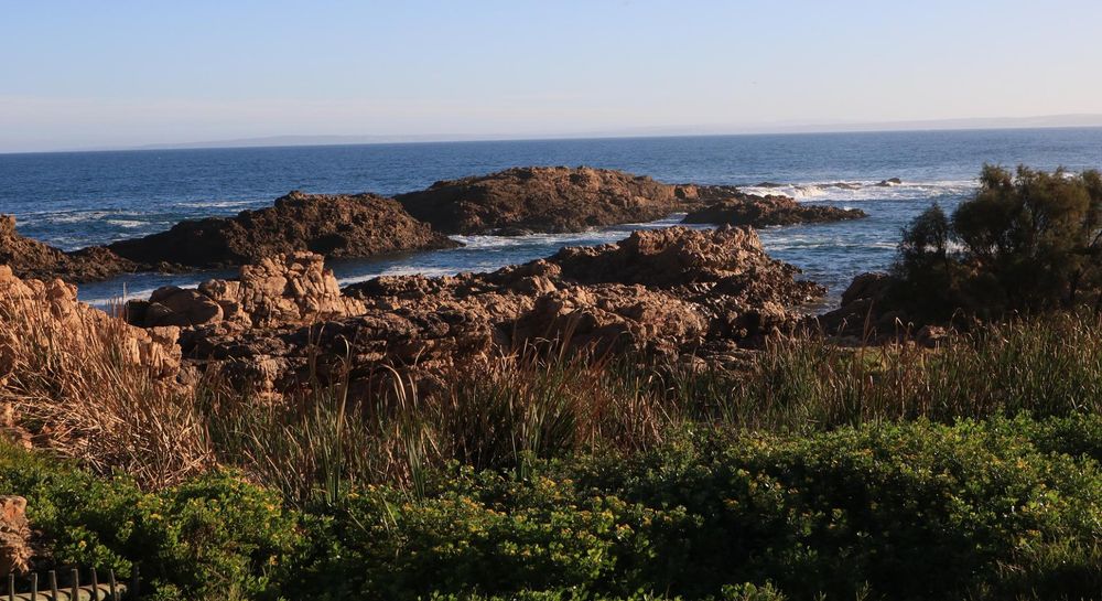 Oyster Bay Beach