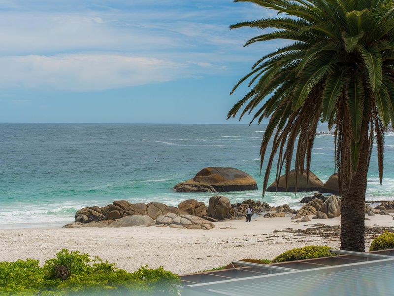 A scenic view of the ocean, sandy beach, and rock formations, framed by a prominent palm tree.
