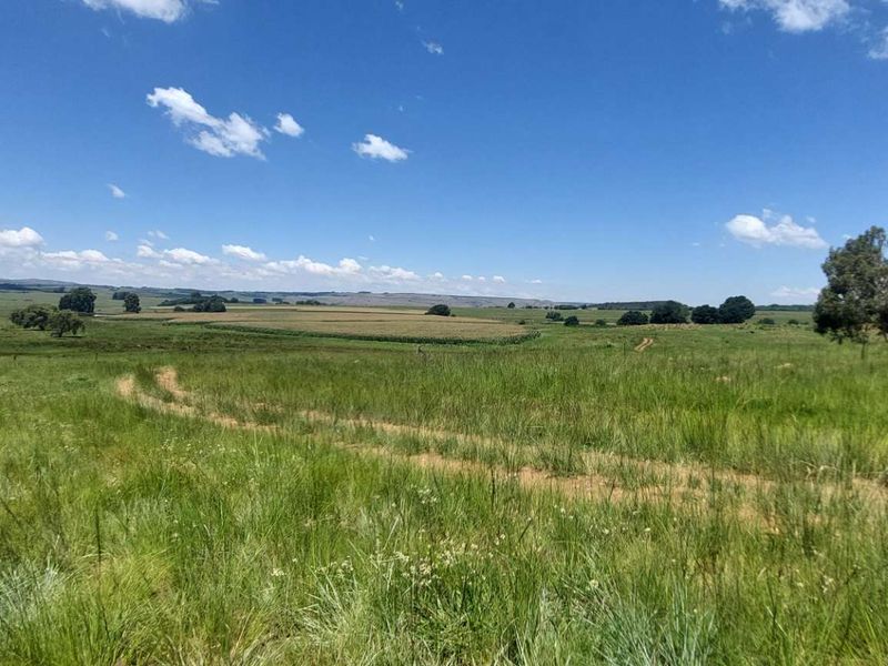600ha Multi-Income Farm & Lifestyle Estate – Belfast / Dullstroom Area - Photo 10