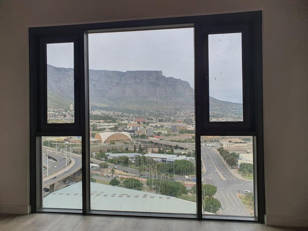 Views from the Studio