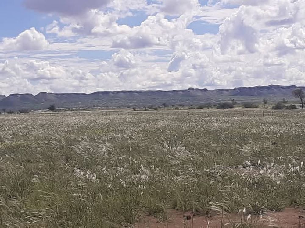 View of the field after the rain. 