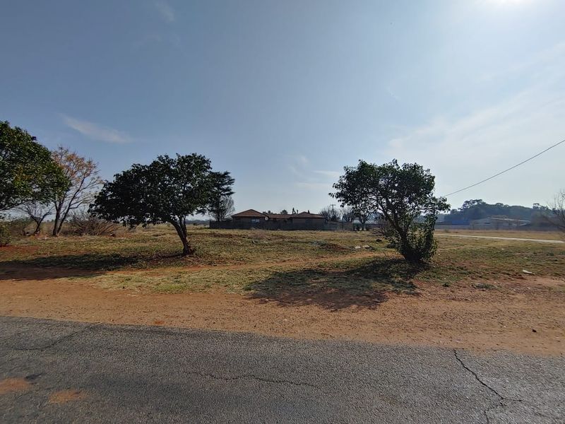 A view of a vacant residential plot featuring mature trees and direct access from the adjacent road.