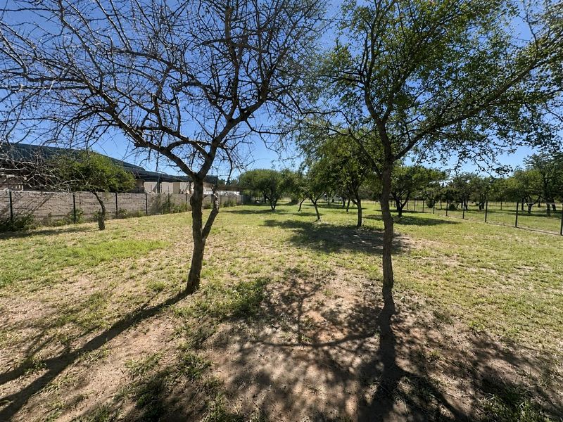 Commercial Stand for Sale - Zandspruit Boulevard, Hoedspruit - Photo 5