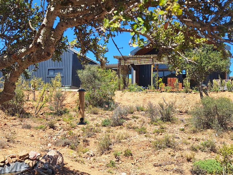 Karoo Getaway - Photo 6