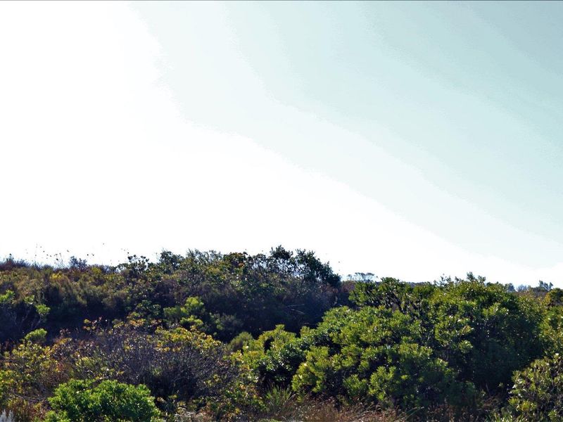 982m2 Vacant Land for Sale in Dana Bay - Photo 7