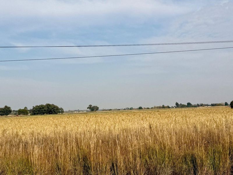21-Hectare Farm with Water Rights – Just 11km from Langenhovenpark - Photo 3