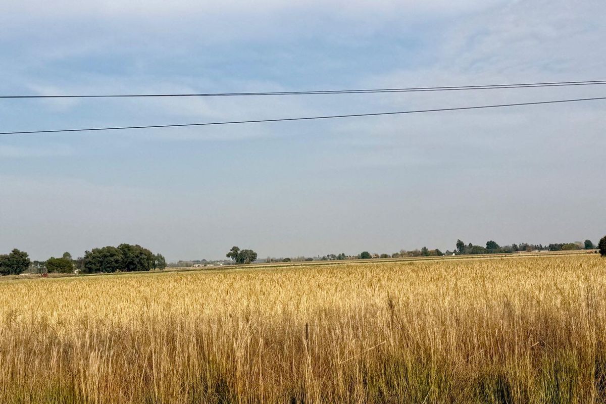 21-Hectare Farm with Water Rights – Just 11km from Langenhovenpark - Photo 3