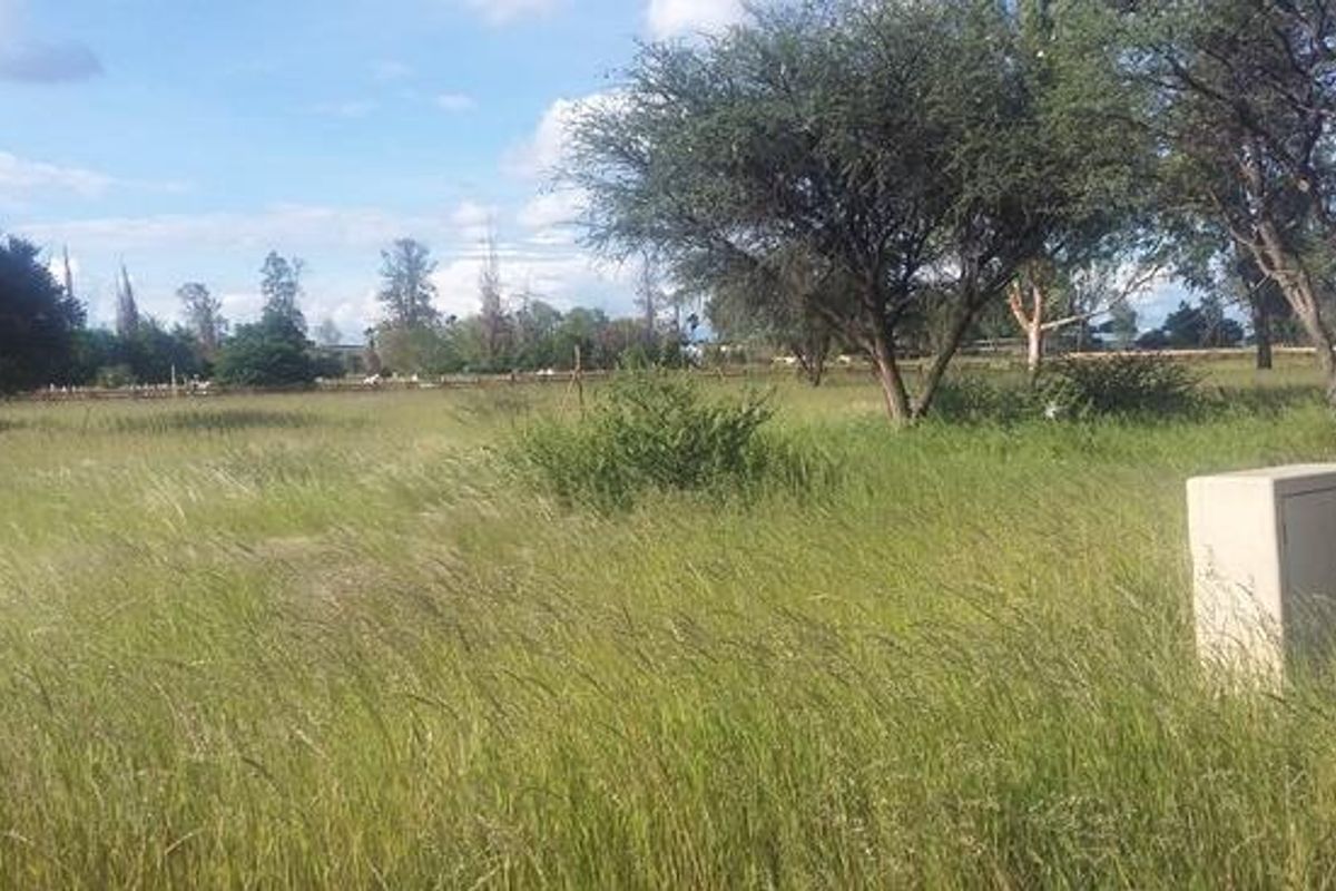 Prime 1,146m2 Business Plot for Sale in Gobabis – Fully Serviced! - Photo 3