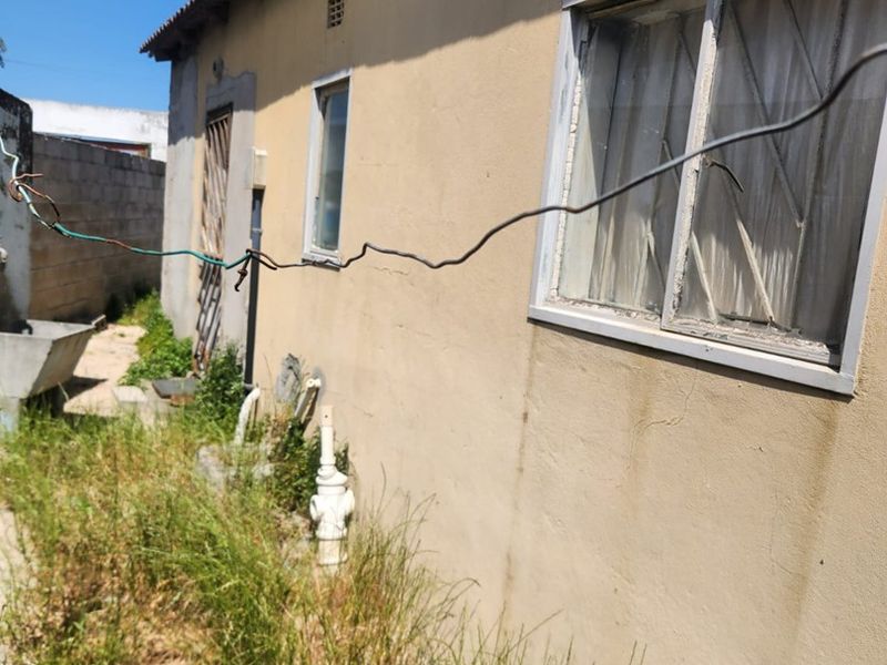 Rear exterior view of the property showing plastered masonry walls, metal window frames, and overgrown garden area requiring maintenance.
