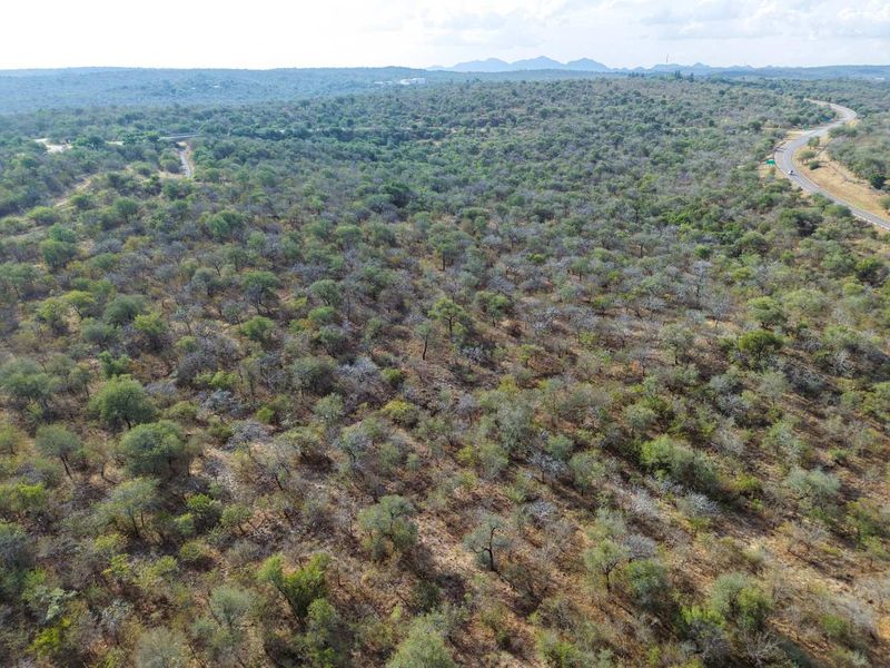 Boutique Farm in the Hoedspruit Area - Photo 4