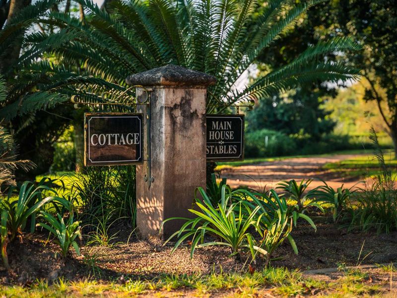 3 Bedroom Luxury Modern Home in Alverstone Equestrian Estate - Photo 4