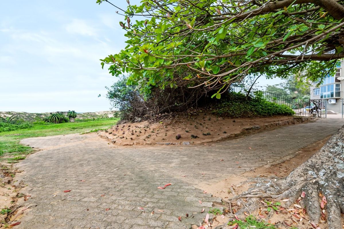 An exterior view of the property grounds featuring a paved driveway, mature landscaping, and perimeter fencing leading towards the building structure.