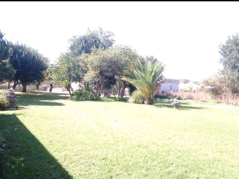 A spacious, well-maintained garden area featuring a large lawn, mature trees, and established landscaping, providing a peaceful outdoor setting.