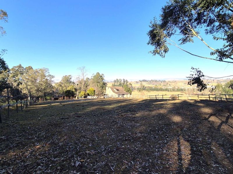 Rural Tranquility with Equestrian Charm at The Grange, Howick Rural - Photo 1