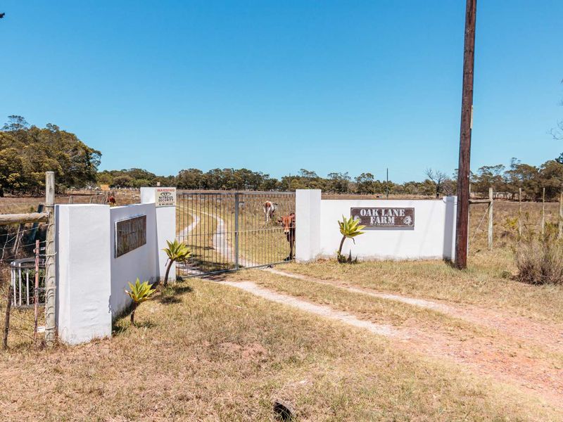 Oak Lane Farm offers an exceptional lifestyle opportunity in one of the Eastern Cape’s fastest developing farming communities. - Photo 5
