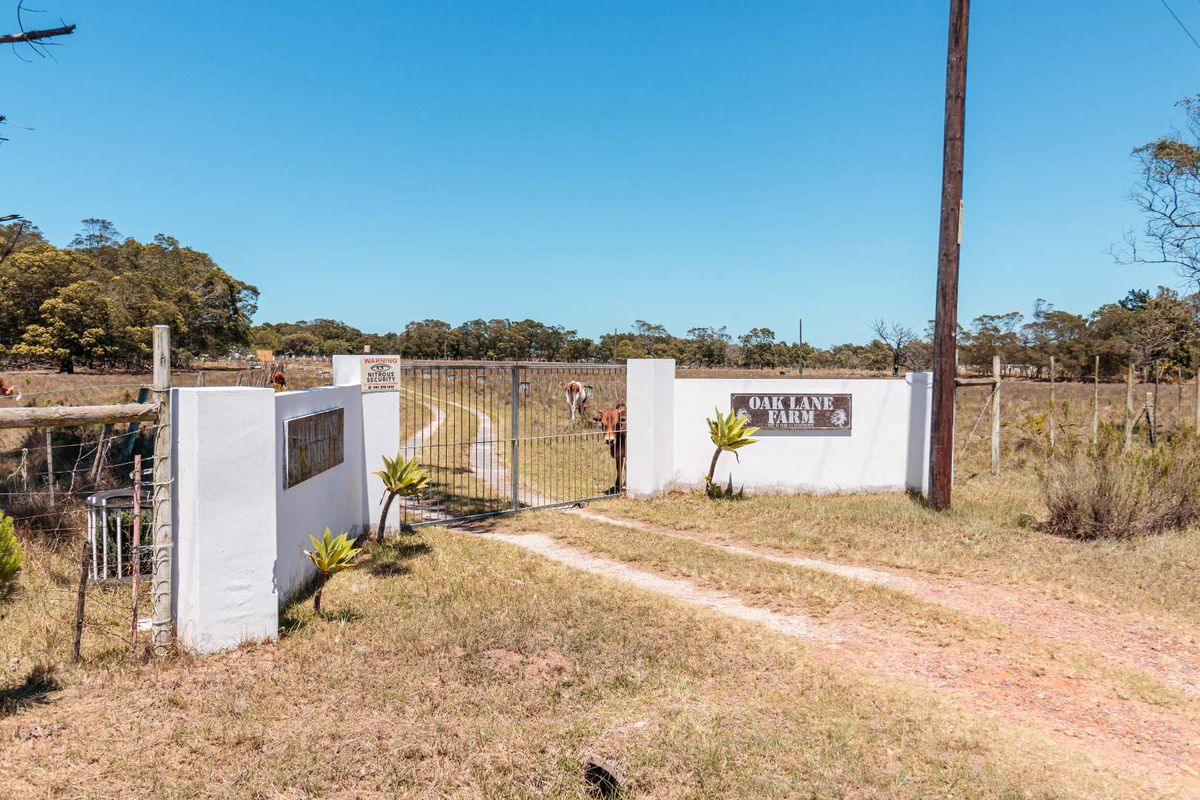 Oak Lane Farm offers an exceptional lifestyle opportunity in one of the Eastern Cape’s fastest developing farming communities. - Photo 5