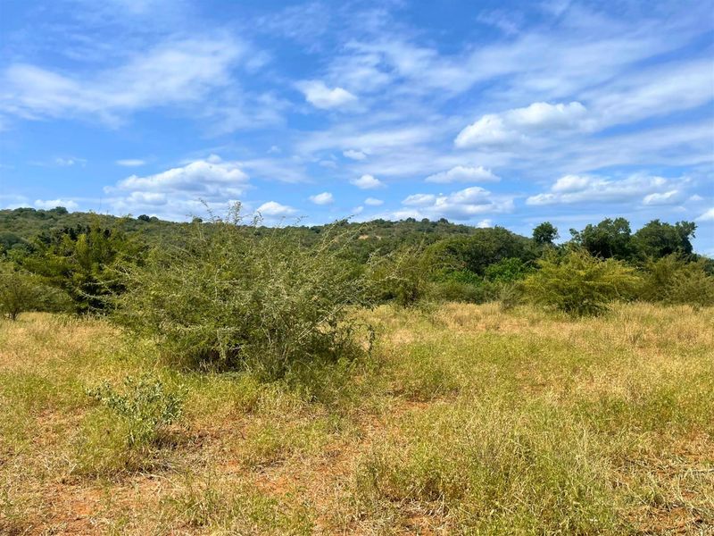 Riverside Stand in Elephant Rock Eco Estate - Photo 7