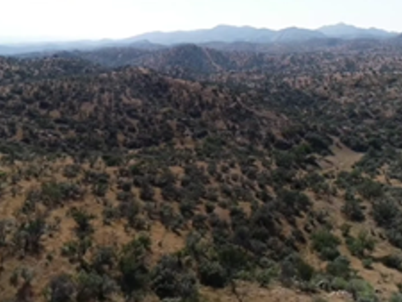 Development Opportunity - Photo 4