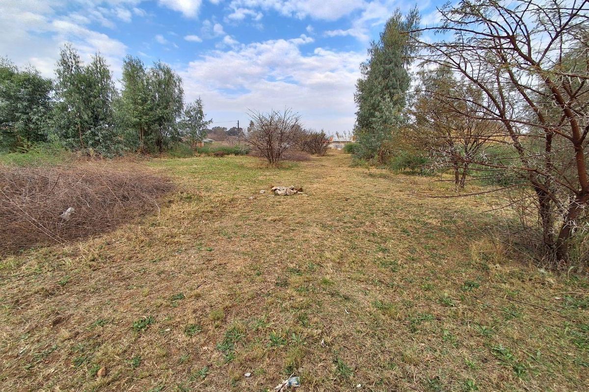 A view of the vacant residential land featuring natural grass cover and established trees, offering a blank canvas for future development.