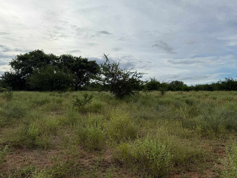 A view of a vacant residential plot featuring natural vegetation and mature trees, suitable for future development.