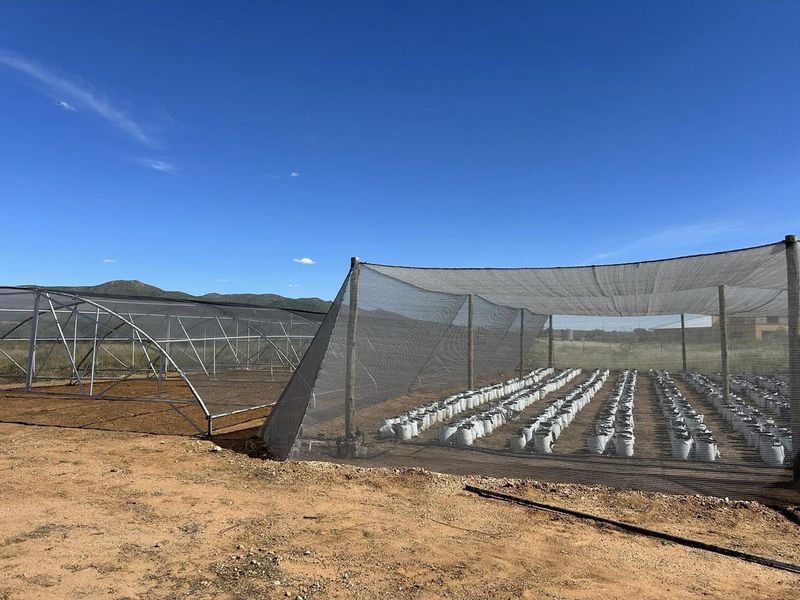 Welcome to a unique smallholding situated approximately 36 km east of Windhoek - Photo 2