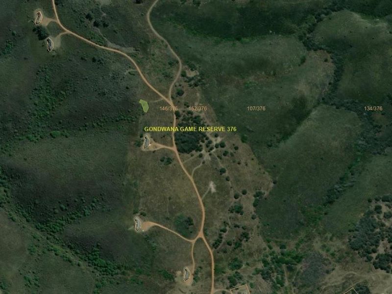 Exclusive 300 m2 Vacant Stand in Gondwana Big Five Game Reserve - Photo 7