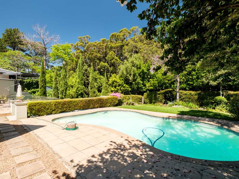 Finally Get Your Family Into Newlands! - Photo 6