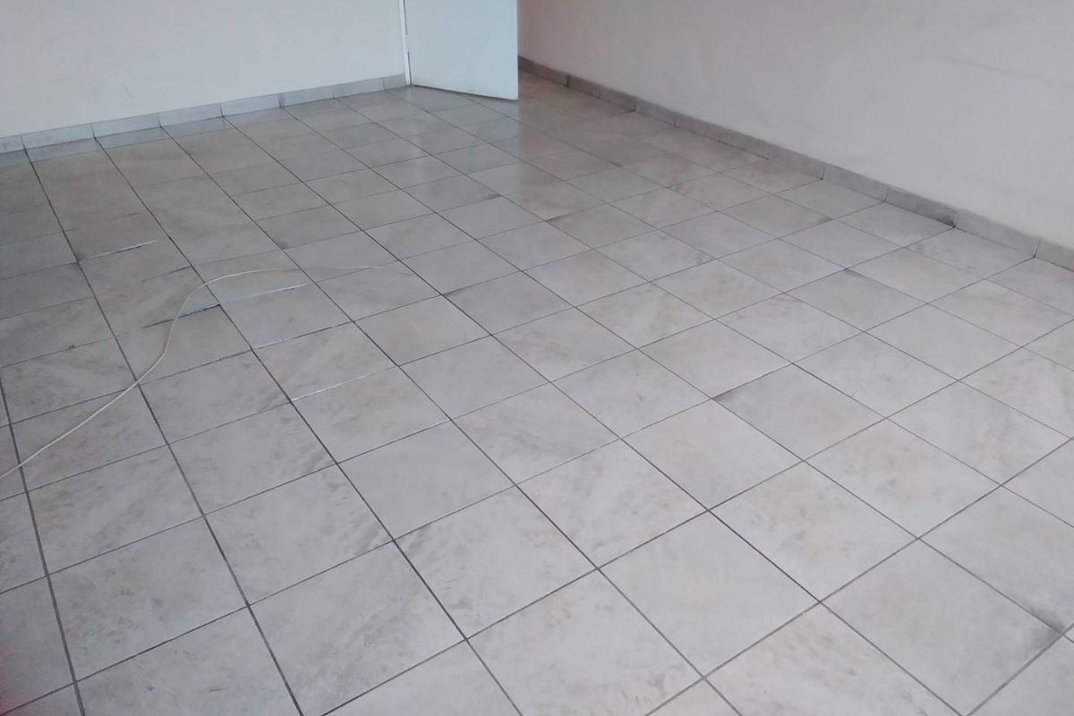ACACIA FLATS IN FRANCIS BAARD STR STR ARCADIA - Photo 2