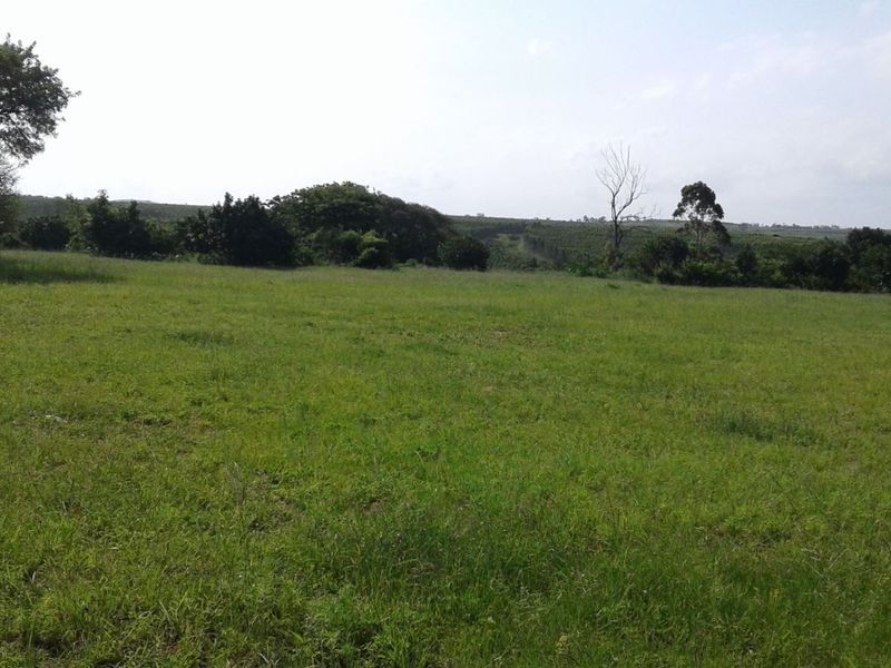 Vacant Land in MTUBATUBA - Photo 8